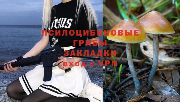 прущая мука Алзамай