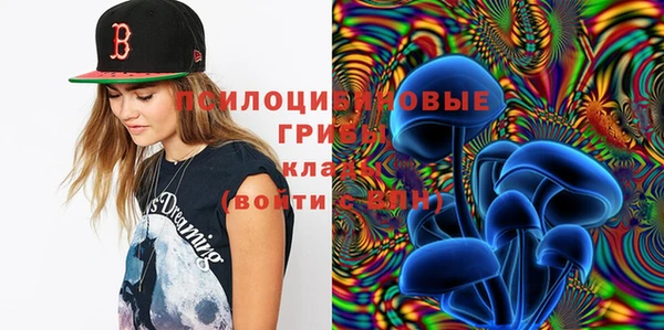 прущая мука Алзамай