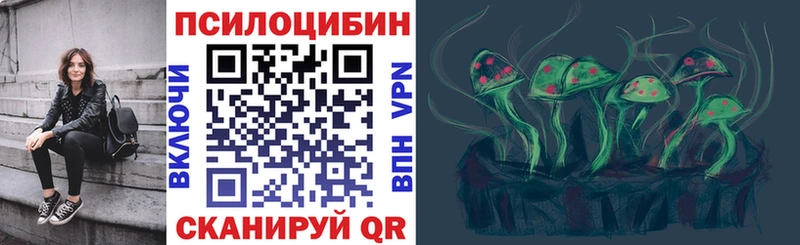 купить  цена  Нижняя Салда  Псилоцибиновые грибы MAGIC MUSHROOMS 